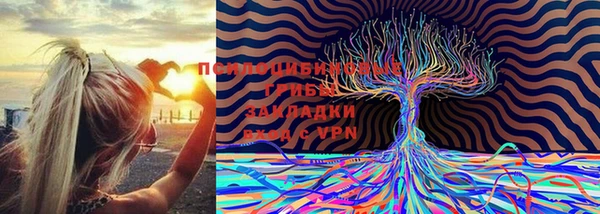 дурь Иннополис
