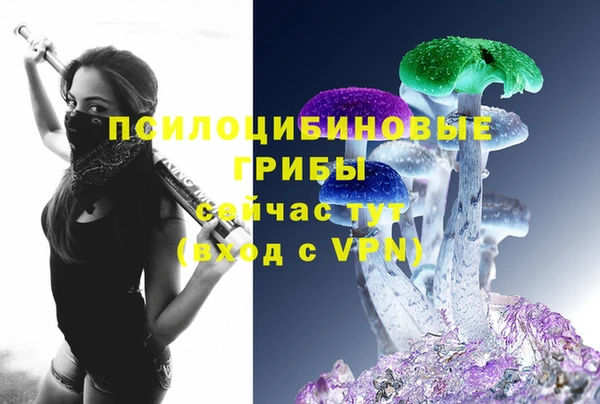 дурь Иннополис