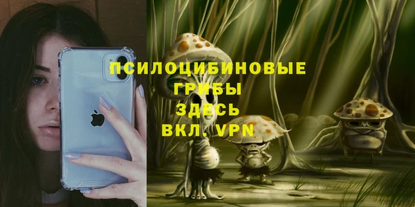 дурь Иннополис