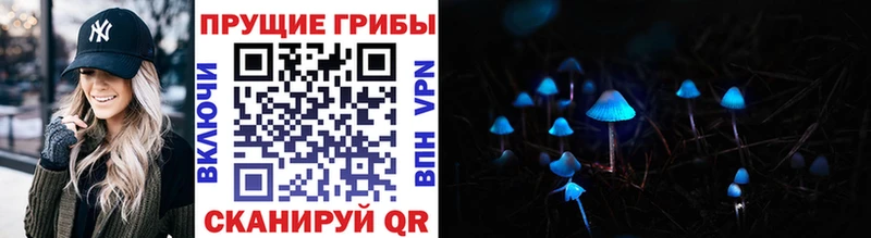 Псилоцибиновые грибы мухоморы  Купить  Майкоп 